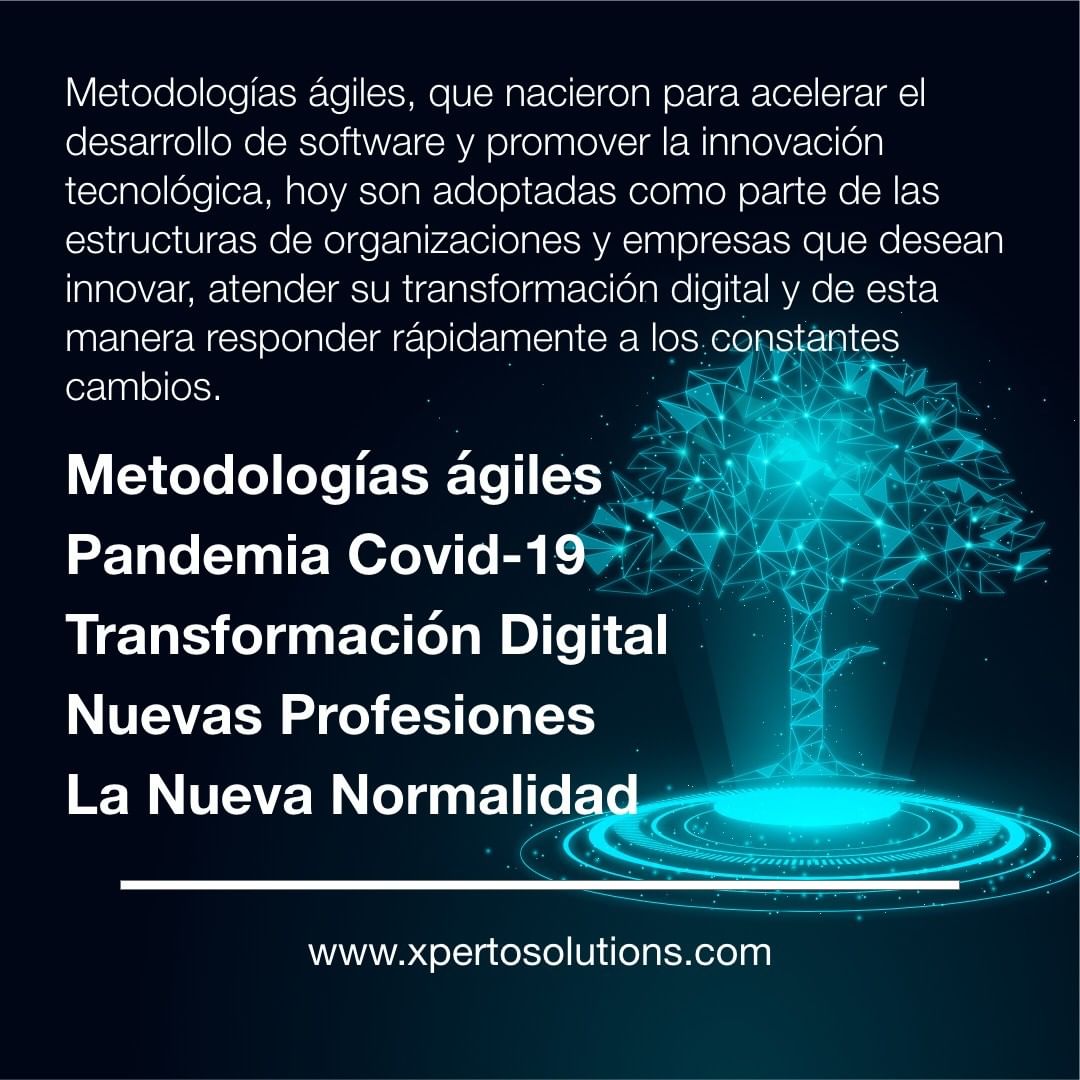 Metodologías Ágiles y las  Nuevas Profesiones en la Nueva Normalidad