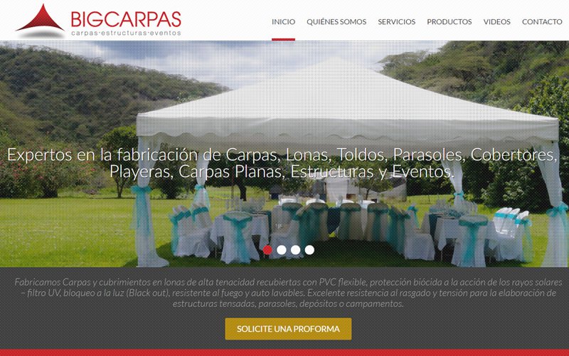 Bigcarpas, Catálogo Web
