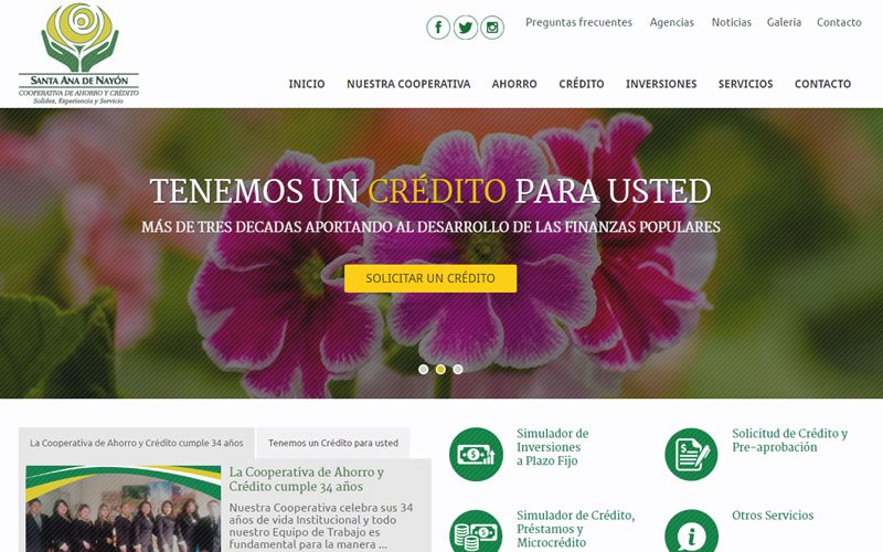Sitio Web COACSA