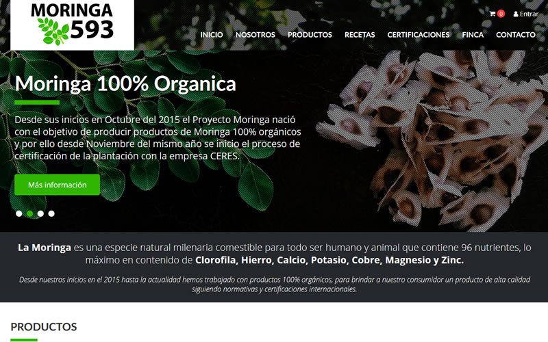 Ecommerce Catálogo Moringa593