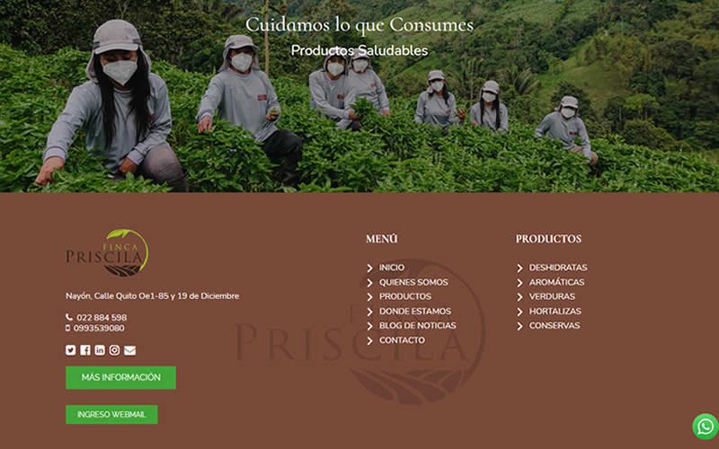 Catálogo Ecommerce de Productos de Hierbas del Huerto para Finca Priscila