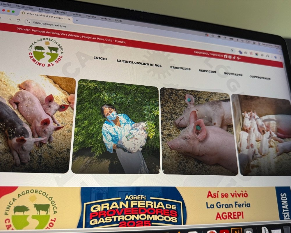Diseño y Desarrollo del Sitio Web de Finca Camino al Sol especializado en Carne de Lechón