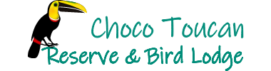 Choco Toucan Reserve